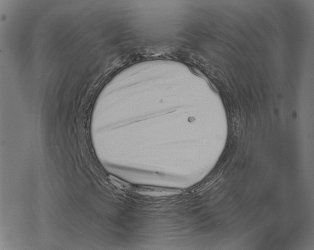 X0000078251393200612011618