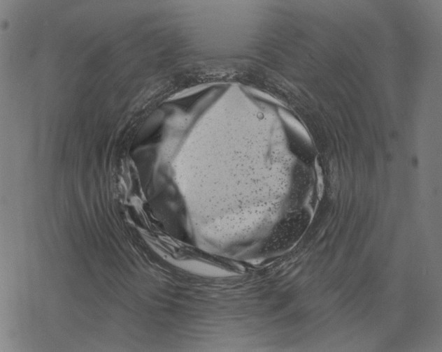 X0000078251394200612011618