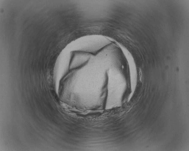 X0000078251395200612011618