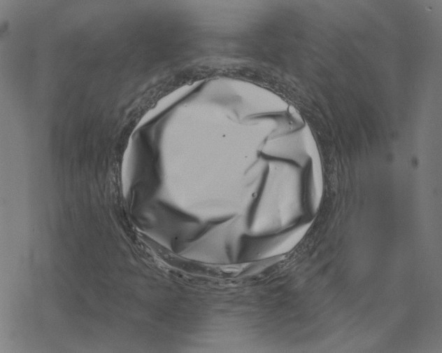 X0000078251397200612011618