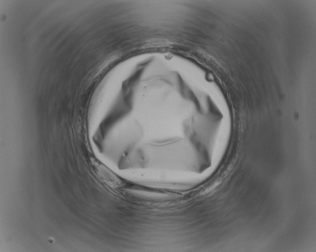 X0000078251401200612011618