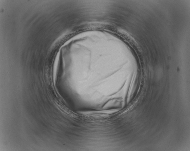 X0000078251403200612011618
