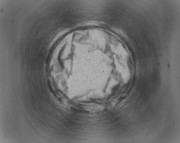 X0000078251404200612011618