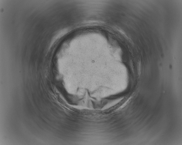 X0000078251405200612011618