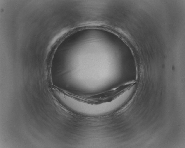 X0000078251406200612011618