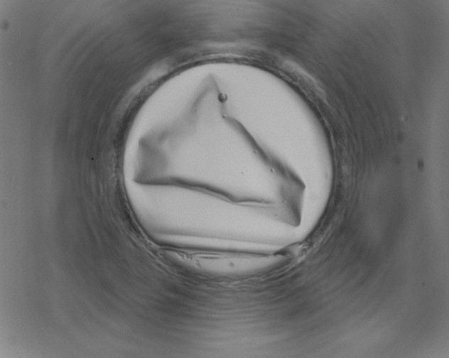 X0000078251411200612011618