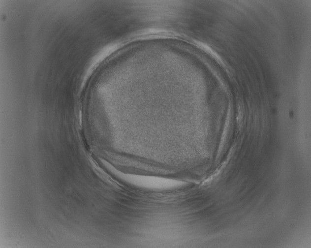 X0000078251413200612011618