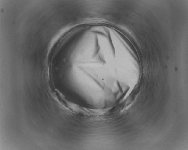 X0000078251414200612011618
