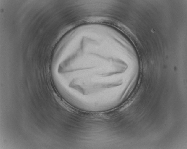 X0000078251417200612011618