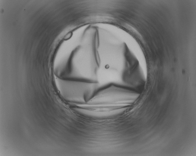 X0000078251419200612011618