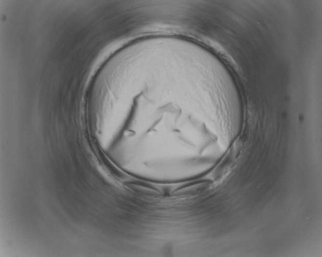 X0000078251421200612011618