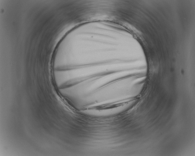 X0000078251423200612011618