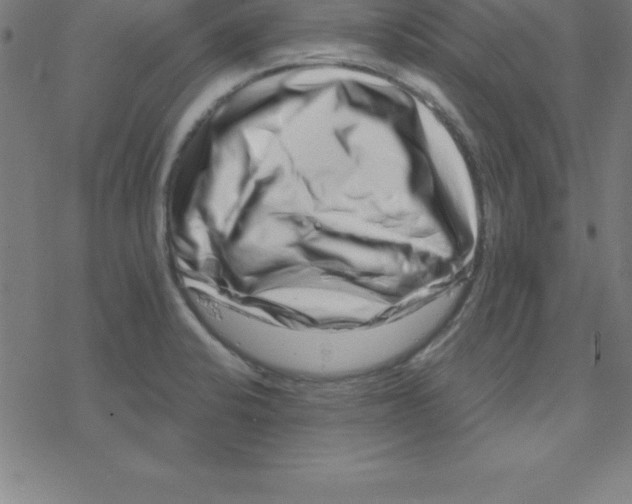 X0000078251424200612011618