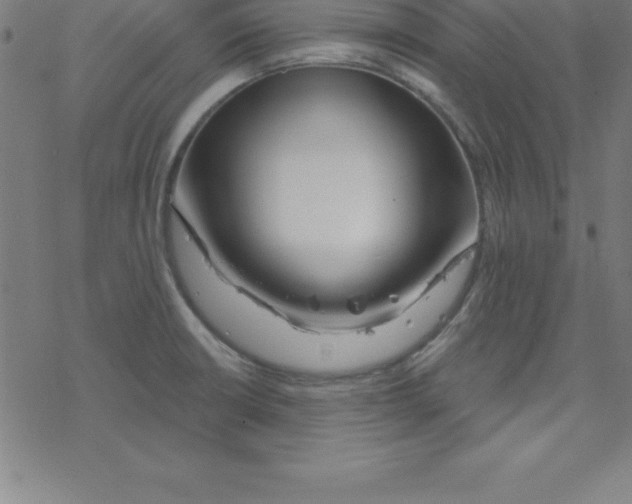 X0000078251426200612011618
