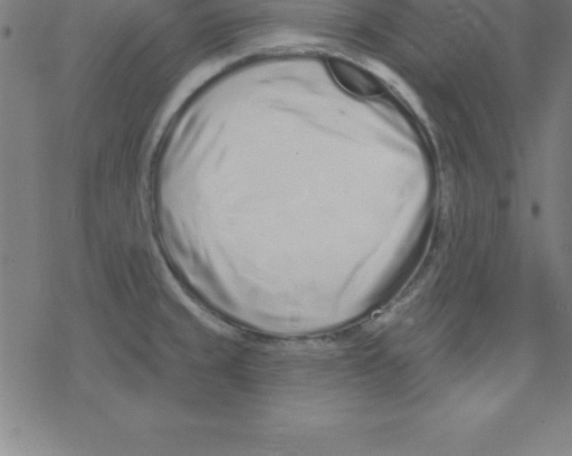 X0000078251429200612011618