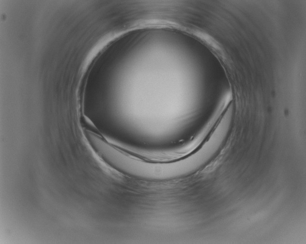 X0000078251430200612011618