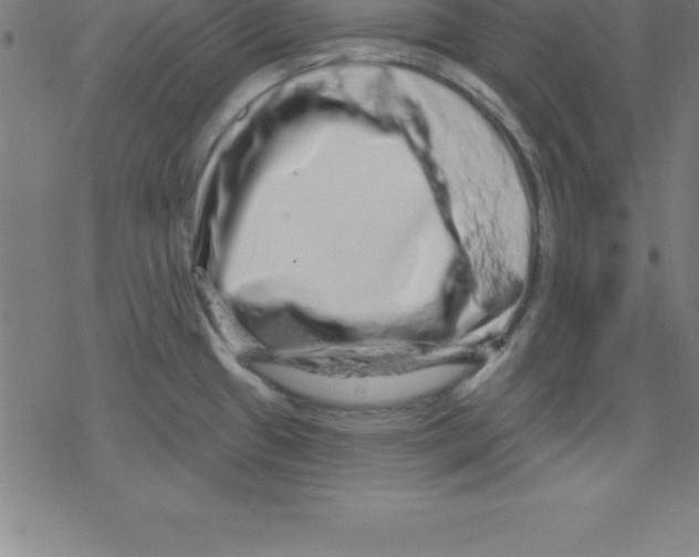X0000078251433200612011618