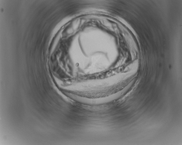 X0000078251437200612011618