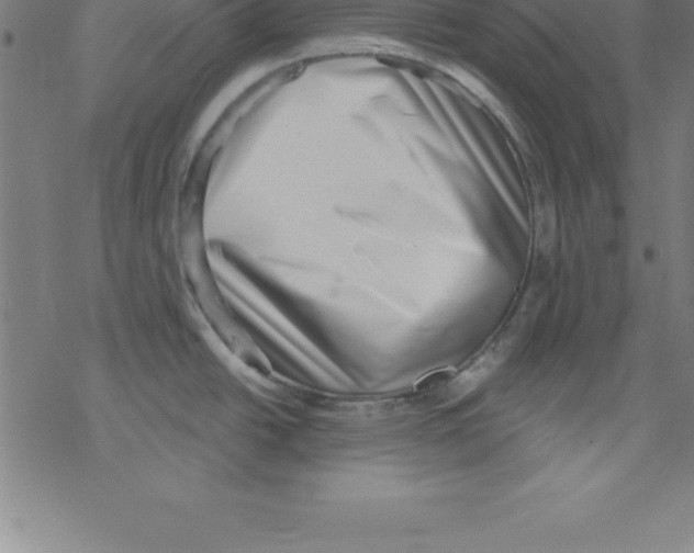 X0000078251438200612011618