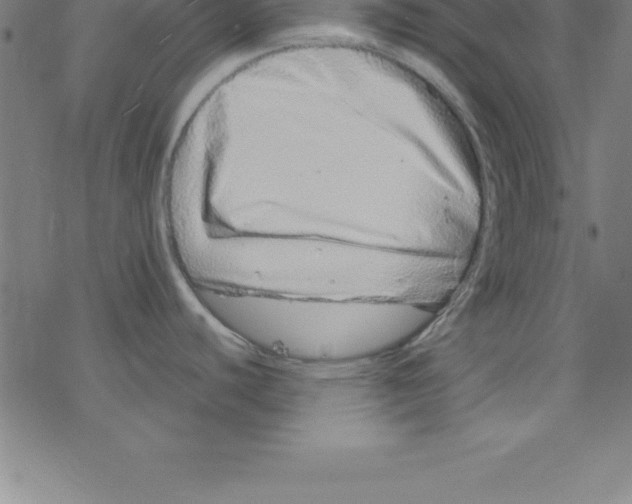 X0000078251440200612011618