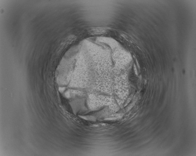 X0000078251441200612011618