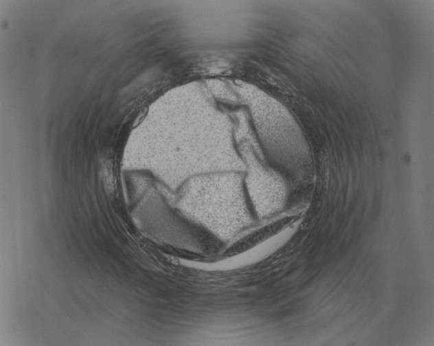 X0000078251442200612011618