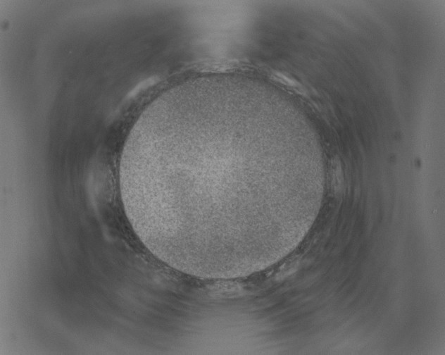 X0000078251446200612011618