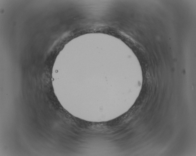 X0000078251447200612011618