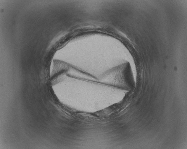 X0000078251448200612011618