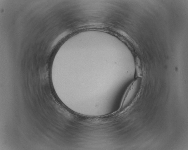 X0000078251450200612011618