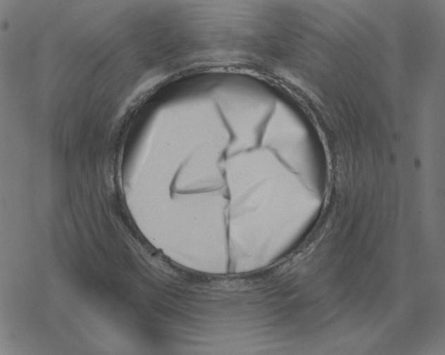 X0000078251451200612011618