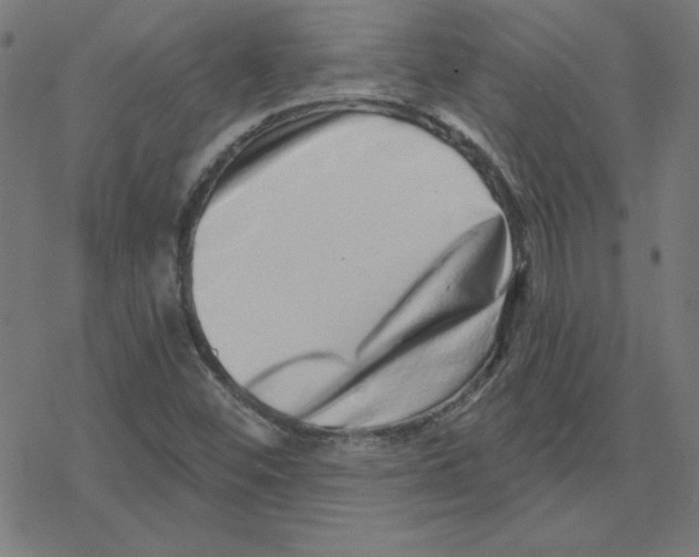 X0000078251452200612011617
