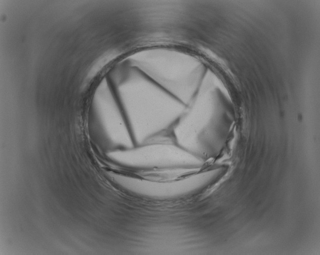 X0000078251453200612011617