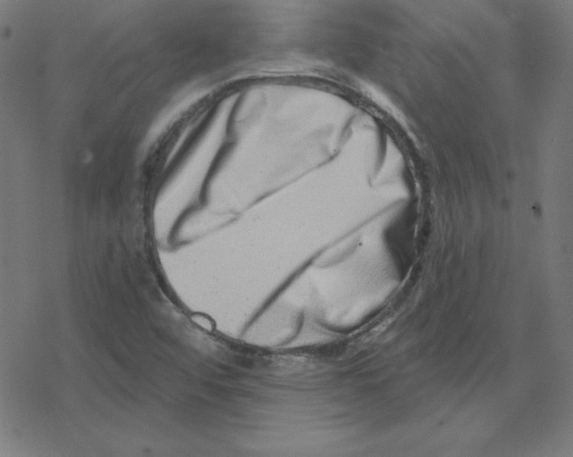 X0000078251456200612011617