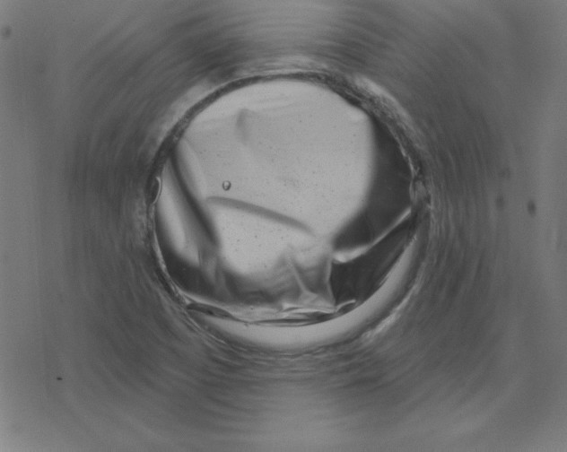 X0000078251457200612011617