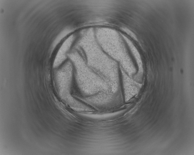 X0000078251458200612011617