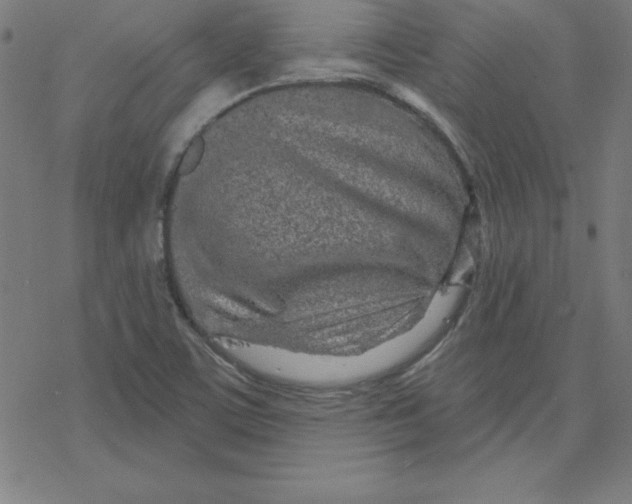 X0000078251459200612011617