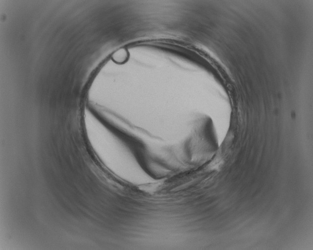 X0000078251460200612011617