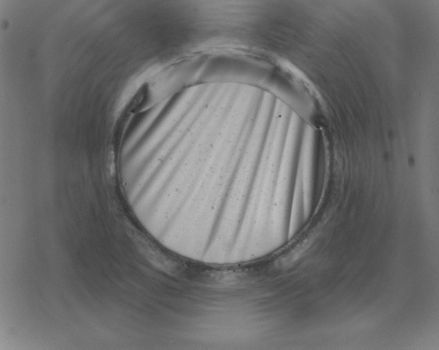 X0000078251461200612011617