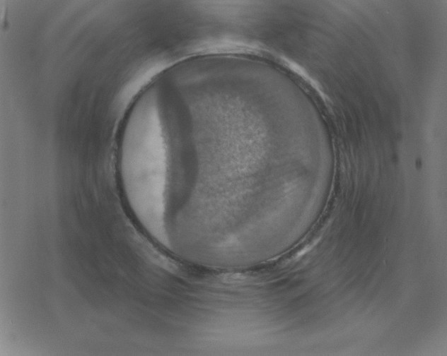 X0000078251463200612011617