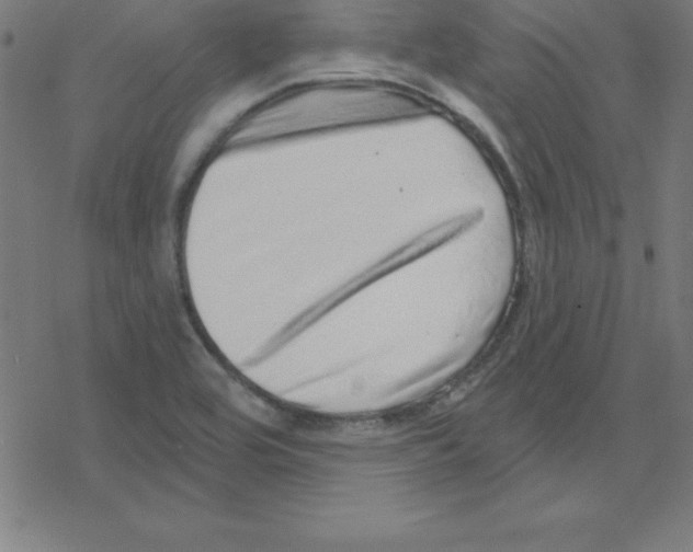 X0000078251464200612011617