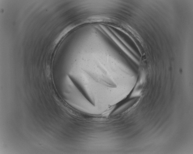 X0000078251465200612011617