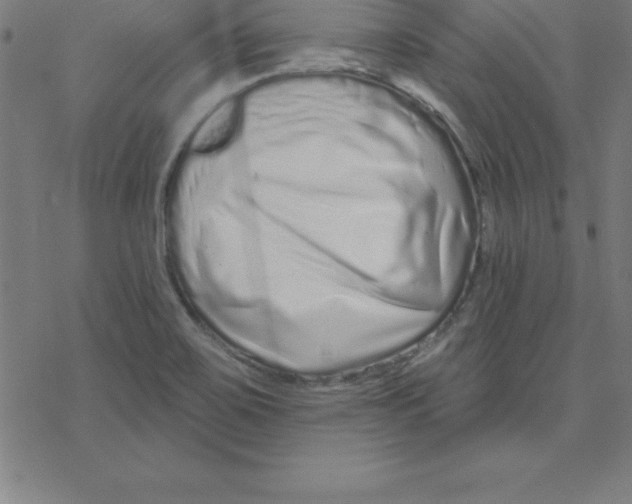 X0000078251467200612011617