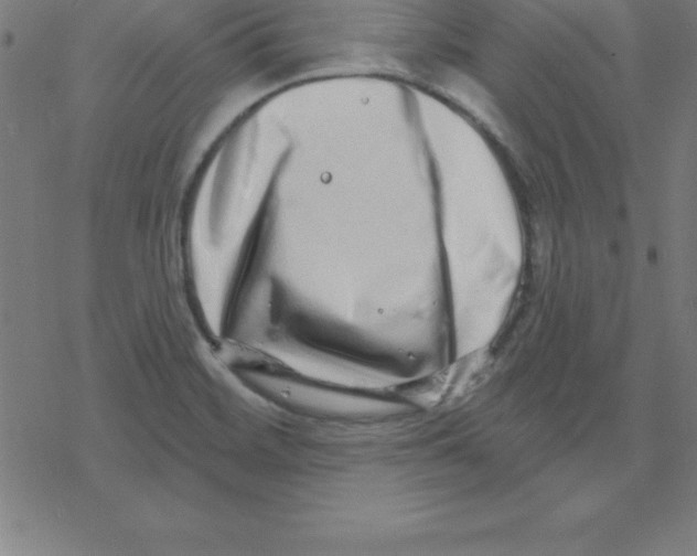 X0000078251468200612011617