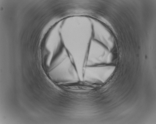 X0000078251472200612011617