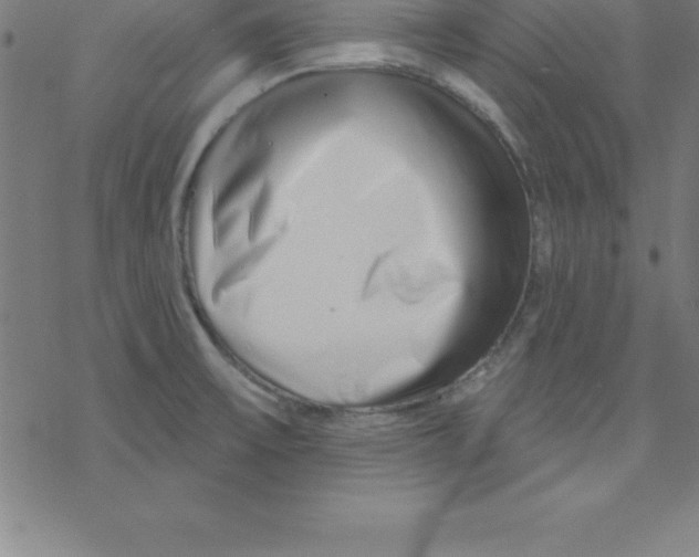 X0000078251475200612011617