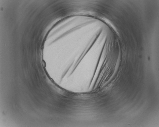 X0000078251476200612011617