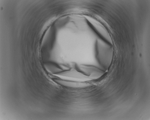 X0000078251477200612011617