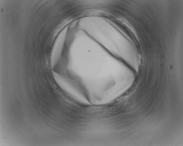 X0000078251481200612011617
