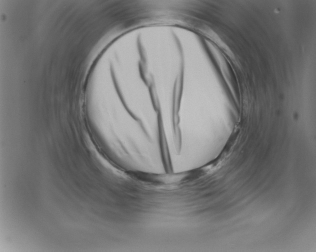 X0000078251484200612011617